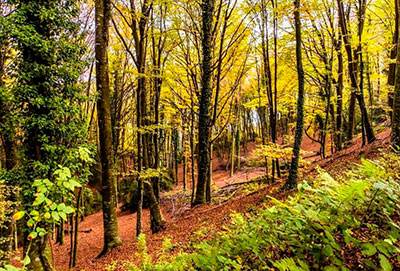 Sitios de interés de La Garrotxa