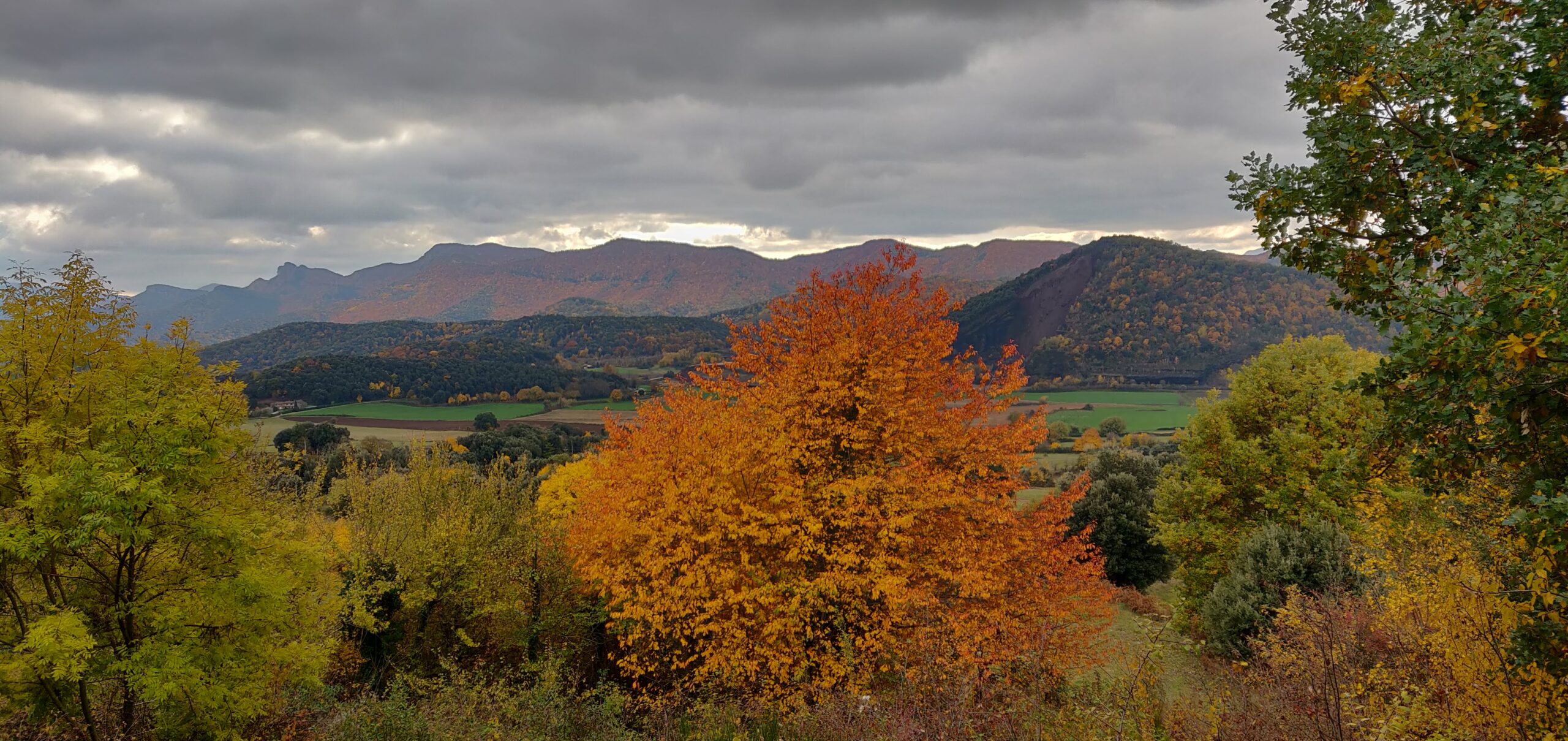 El Jardinet de Sant Esteve - Alta Garrotxa