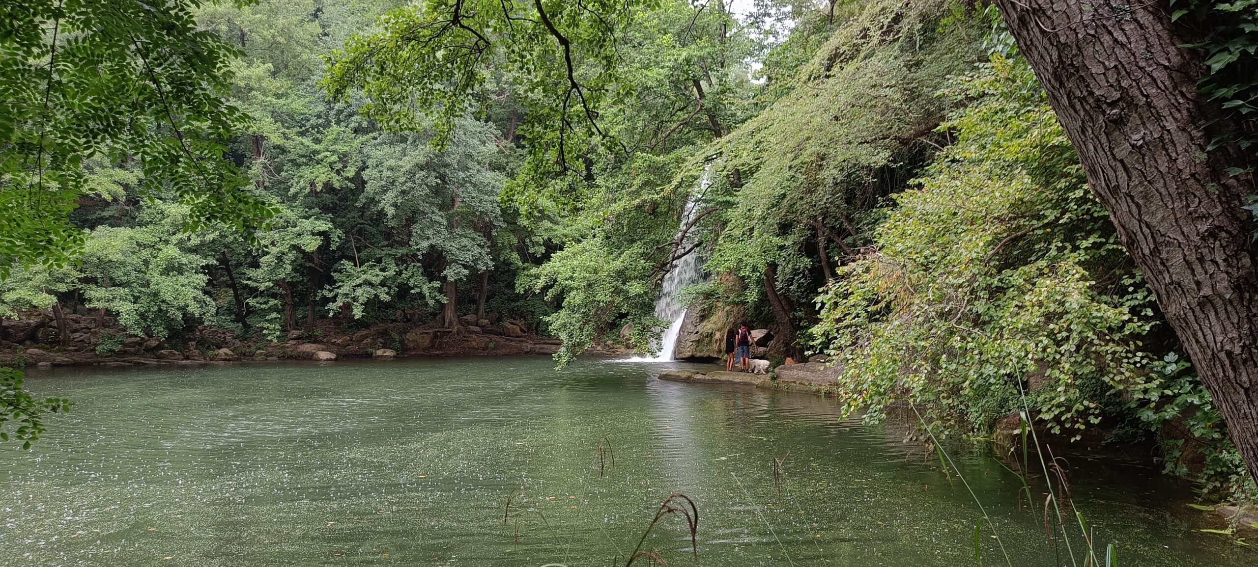 El Jardinet De Sant Esteve - Gorg salt d'aigua la Garrotxa