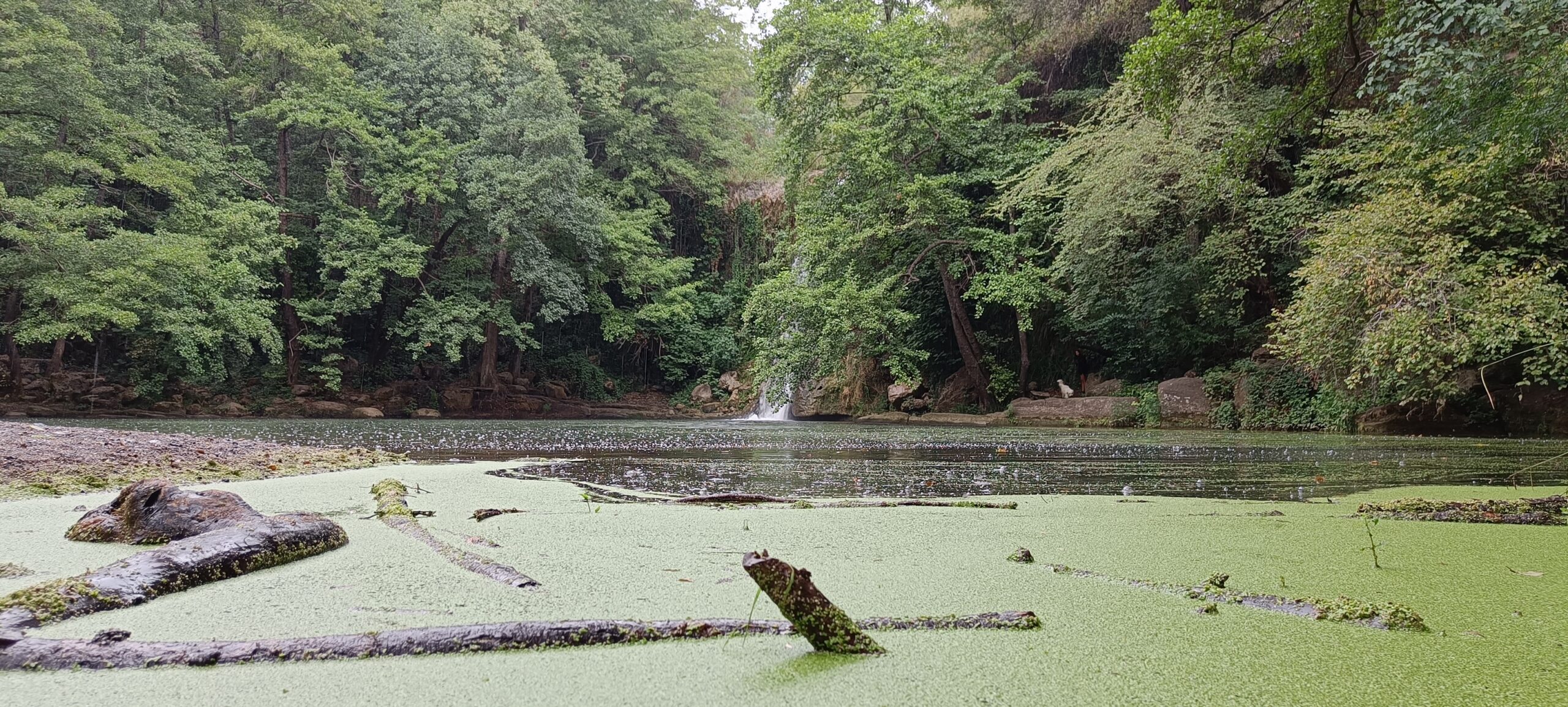 El Jardinet De Sant Esteve - Gorg salt d'aigua la Garrotxa