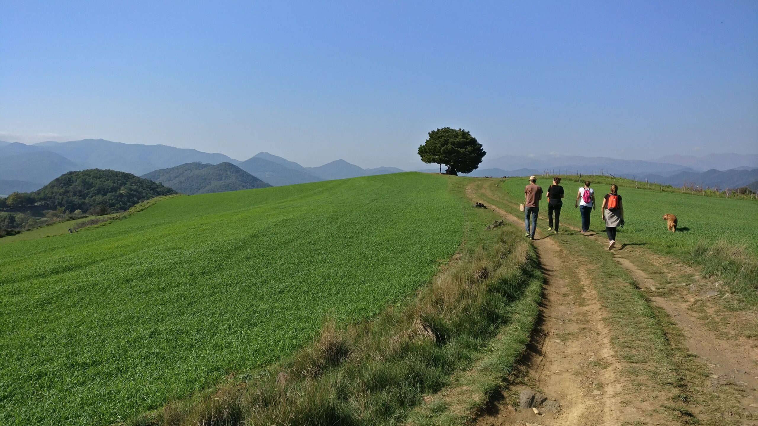 El Jardinet de Sant Esteve - Alta Garrotxa volcà aiguanegra